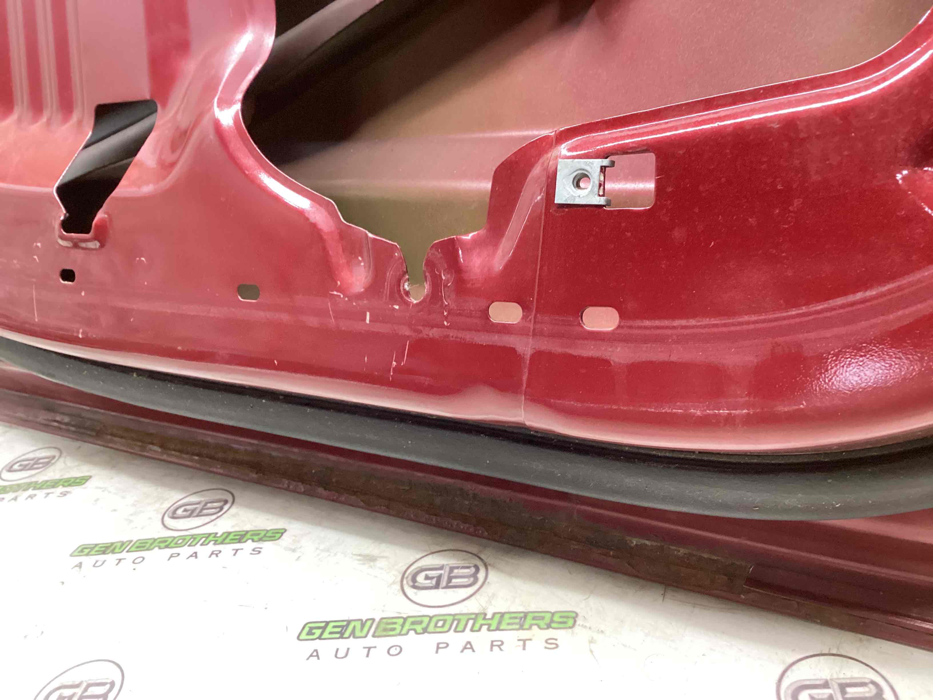 Двері передні ліві