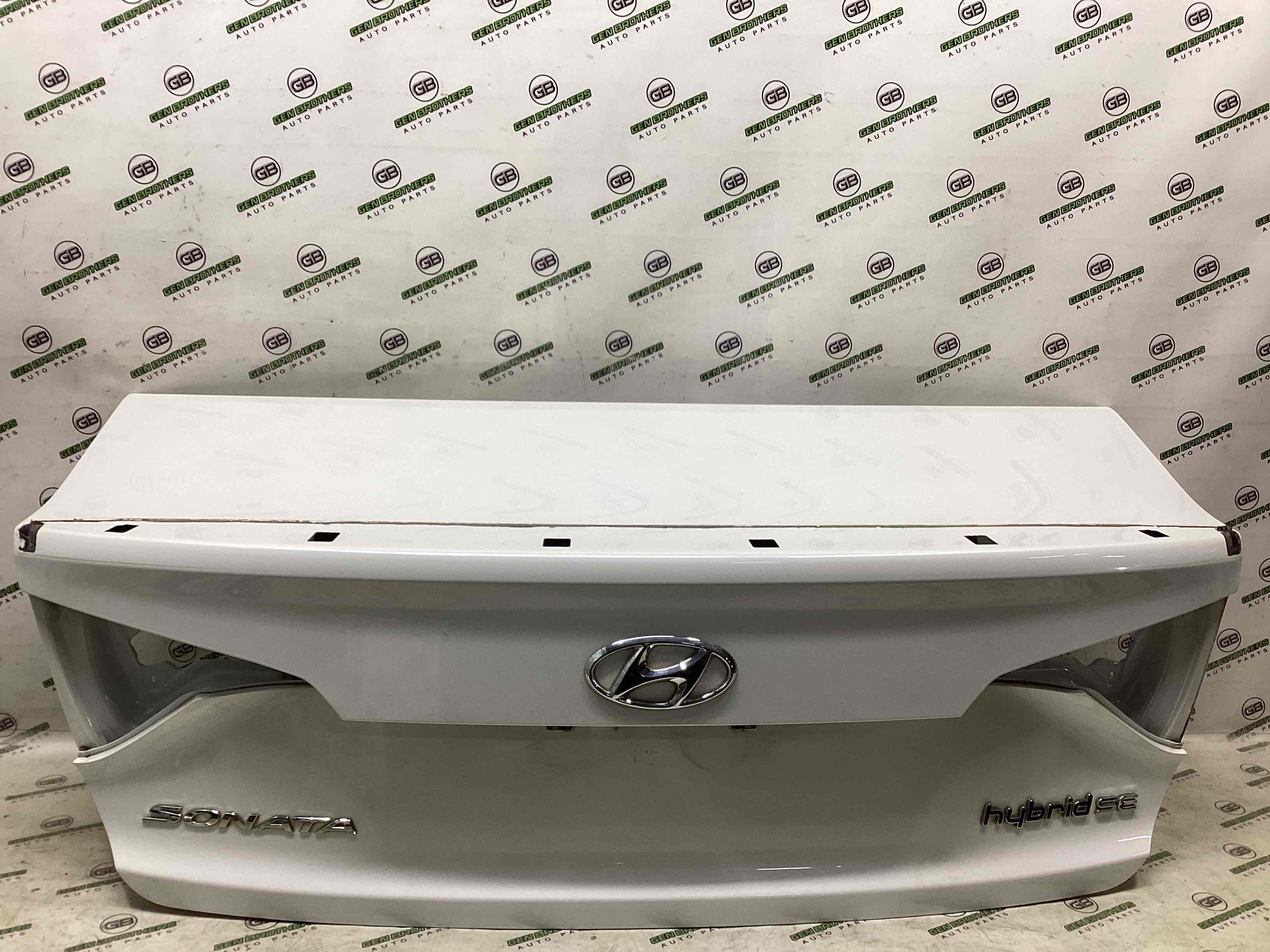 Молдинг двері багажника, кришки багажника, задні молдинги кузова